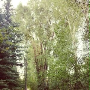 Meet your Posher, Doris